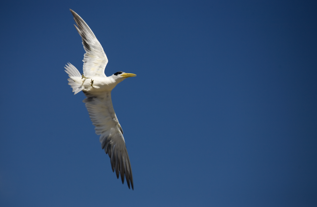 Captura de pantalla 2024-12-14 a las 23.07.09